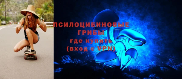 соль ск Верея