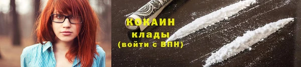 apvp Бородино