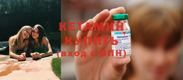 apvp Бородино