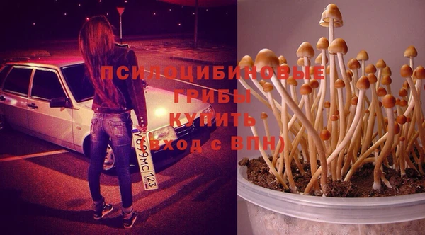 mdma Верхний Тагил