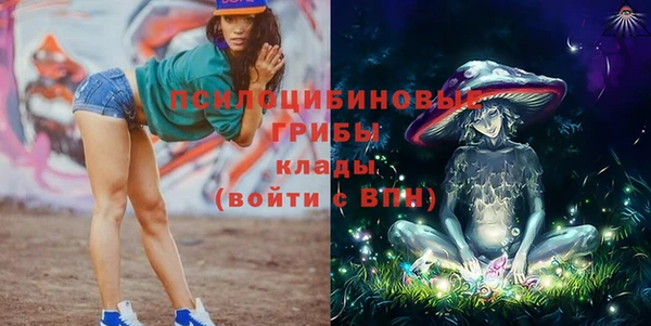 соль ск Верея