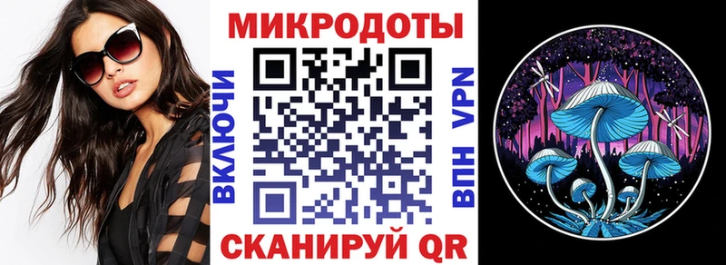 Галлюциногенные грибы Psilocybine cubensis Выборг